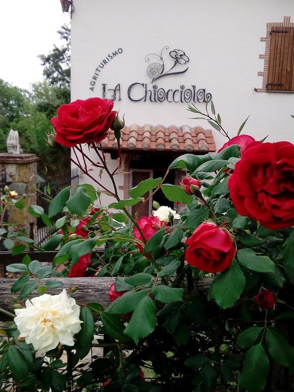 Agriturismo La Chiocciola Poggio Murella Extérieur photo